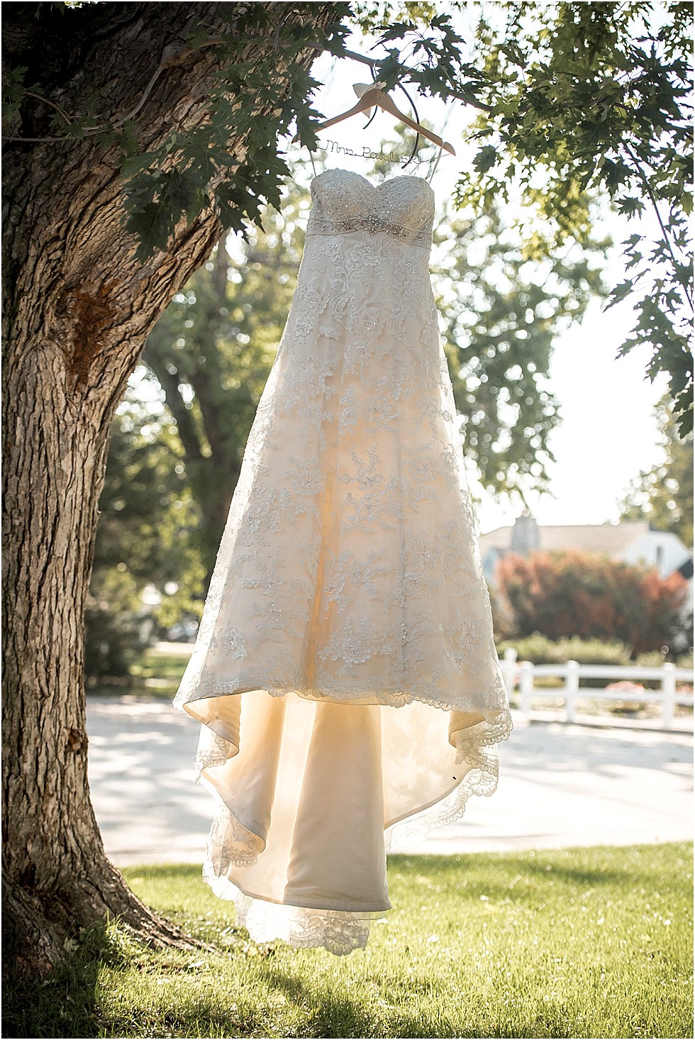 wedding dress hanging from tree O'Neill Nebrasksa