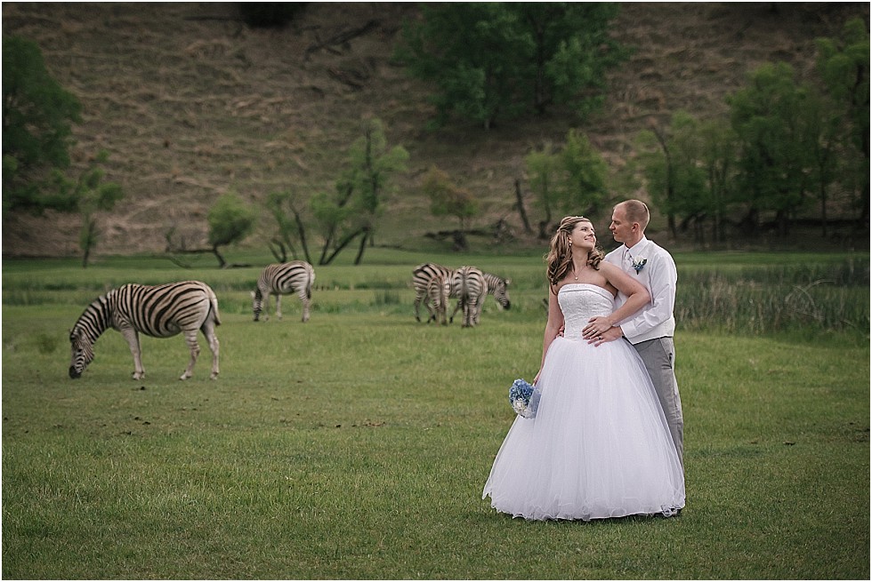bride and groom kiss with animals in background